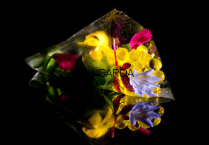 Jadalna folia rozmiar 22,5cm x 33cm 